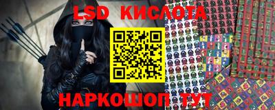 2c-b Кингисепп