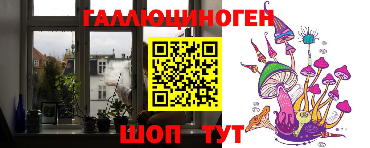 купить   Псилоцибиновые грибы Psilocybine cubensis  Вход с VPN  Лесозаводск 